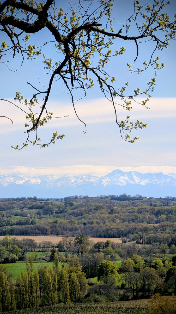 Cat 🧡 🐿 📸 tweet media