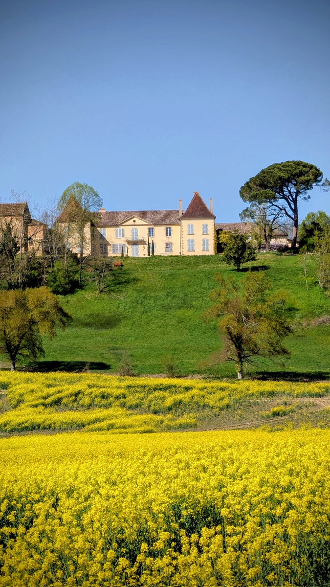 Cat 🧡 🐿 📸 tweet media