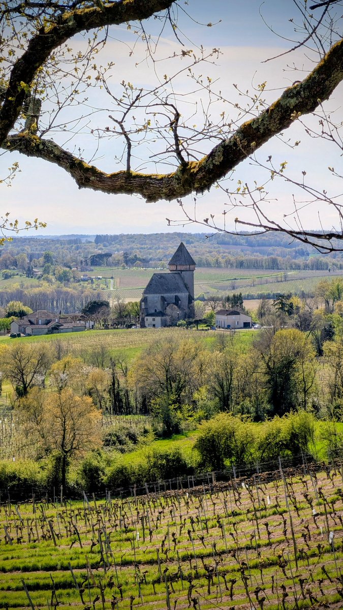 Cat 🧡 🐿 📸 tweet media