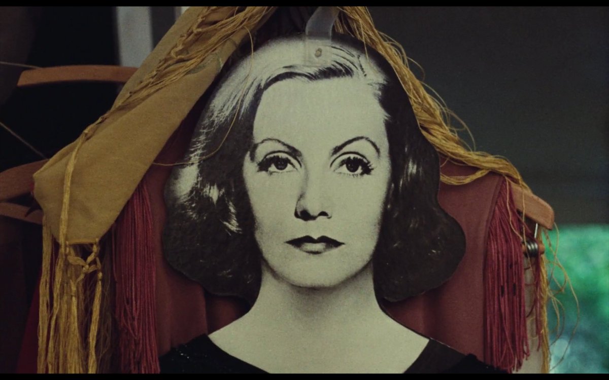 wingwingdog tweet media