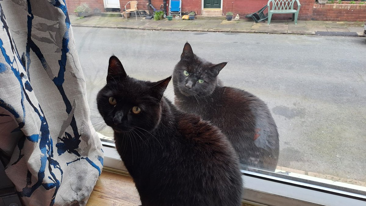 Bionic_Tweets tweet media