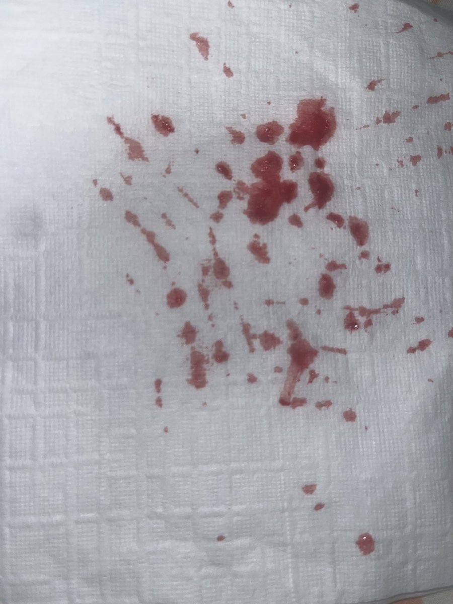 🍫 𝒸yn ♡’s 𝓂ello (SHEDTWT) 🪽 tweet media