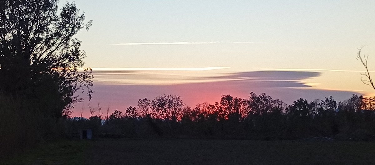 Carles Nerín Faydella tweet media