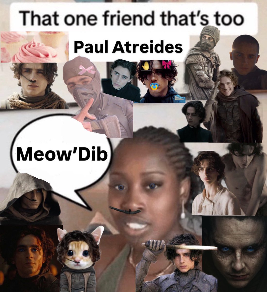 cupcake atreides 🧁 tweet media