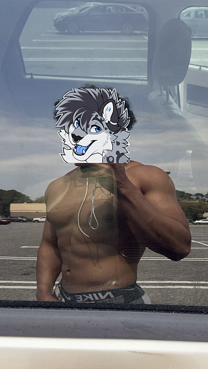 Puffuls 🔜 AC tweet media