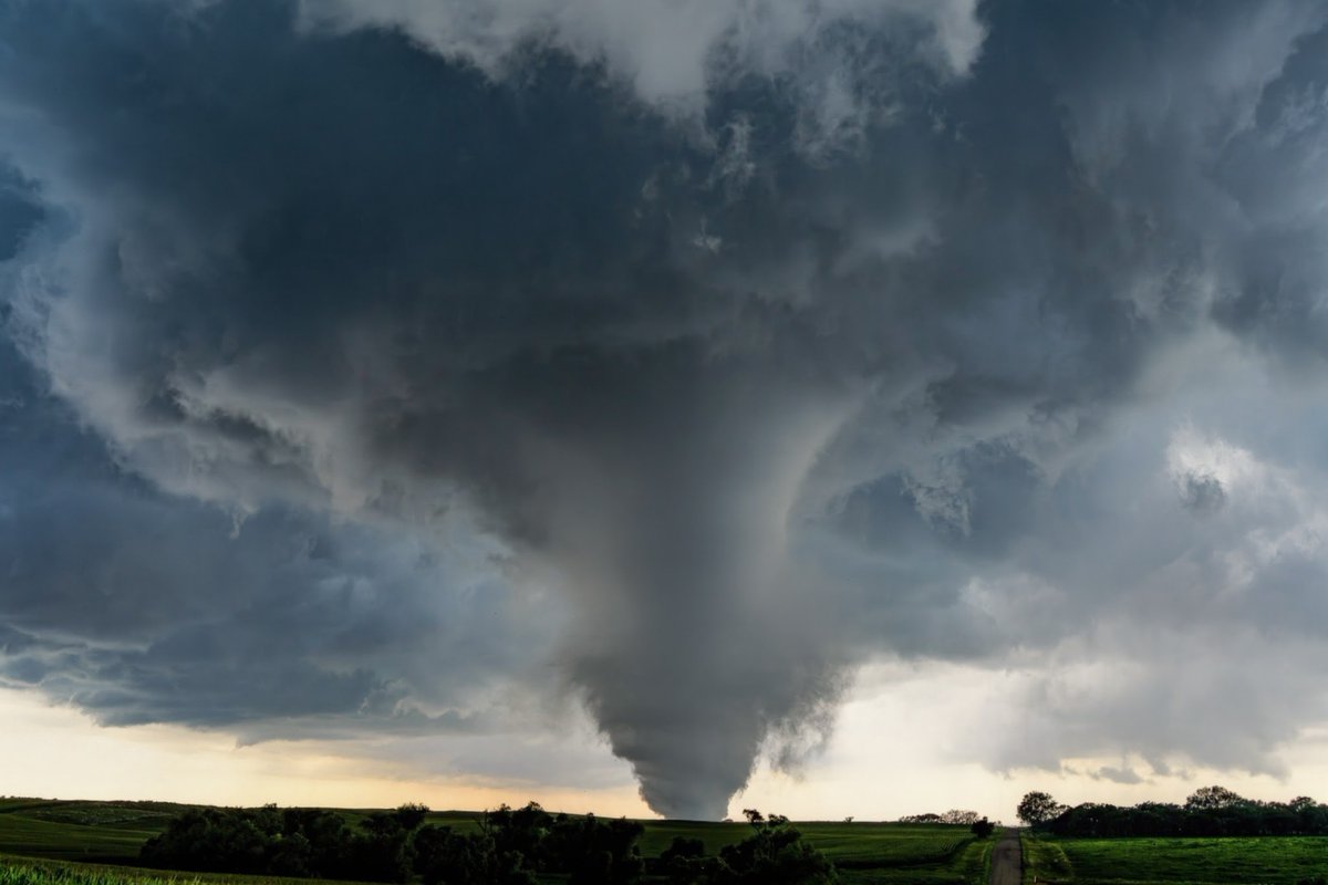 Devin Pitts tweet media