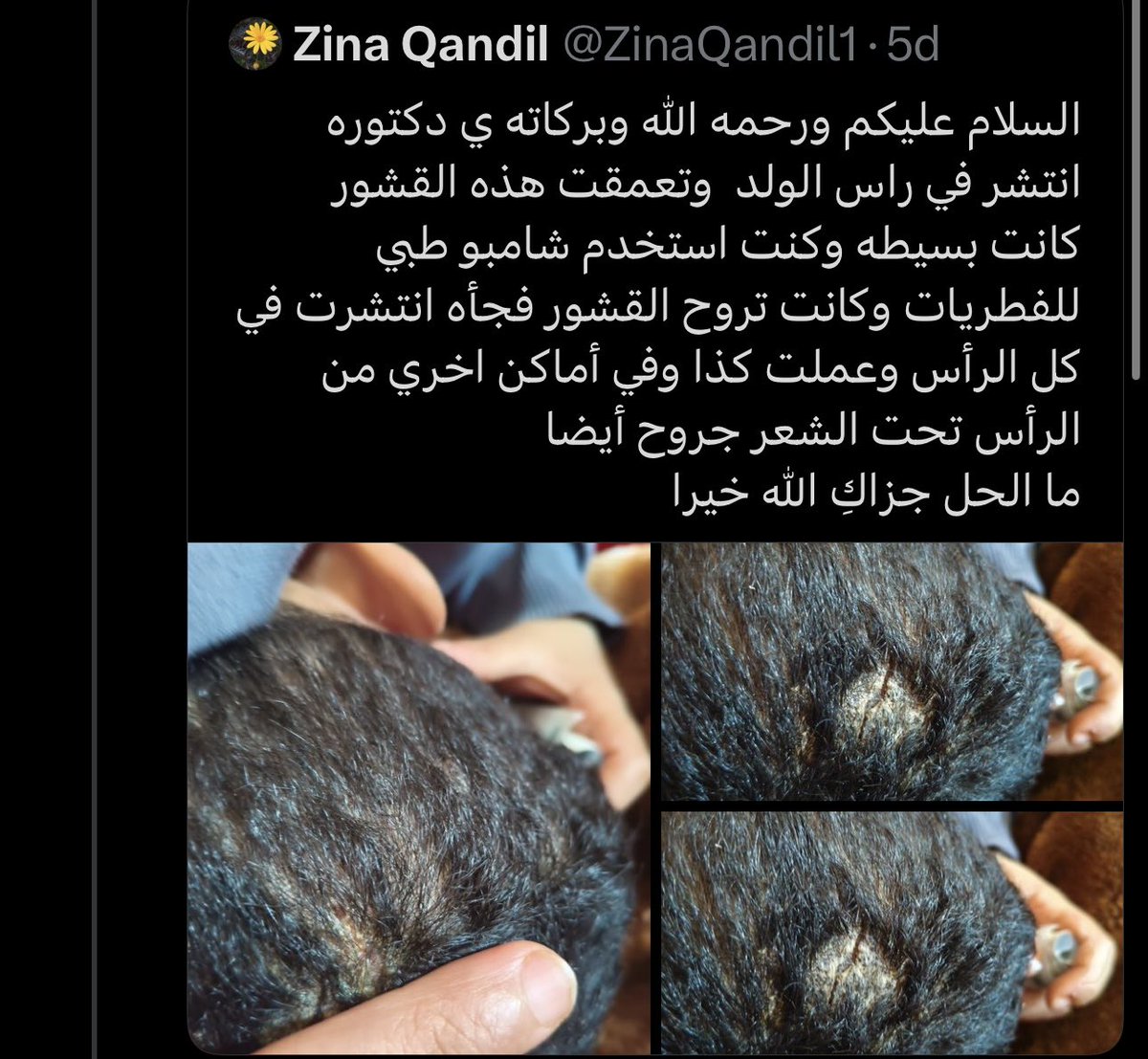 Rand Hamid الصفحة الرسمية tweet media