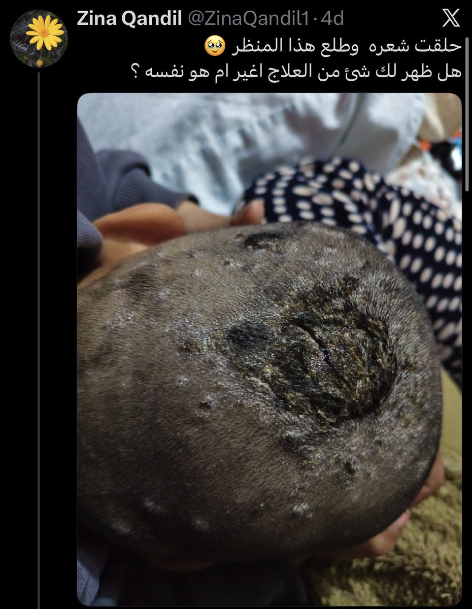 Rand Hamid الصفحة الرسمية tweet media