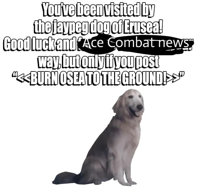 John Razgriz tweet media