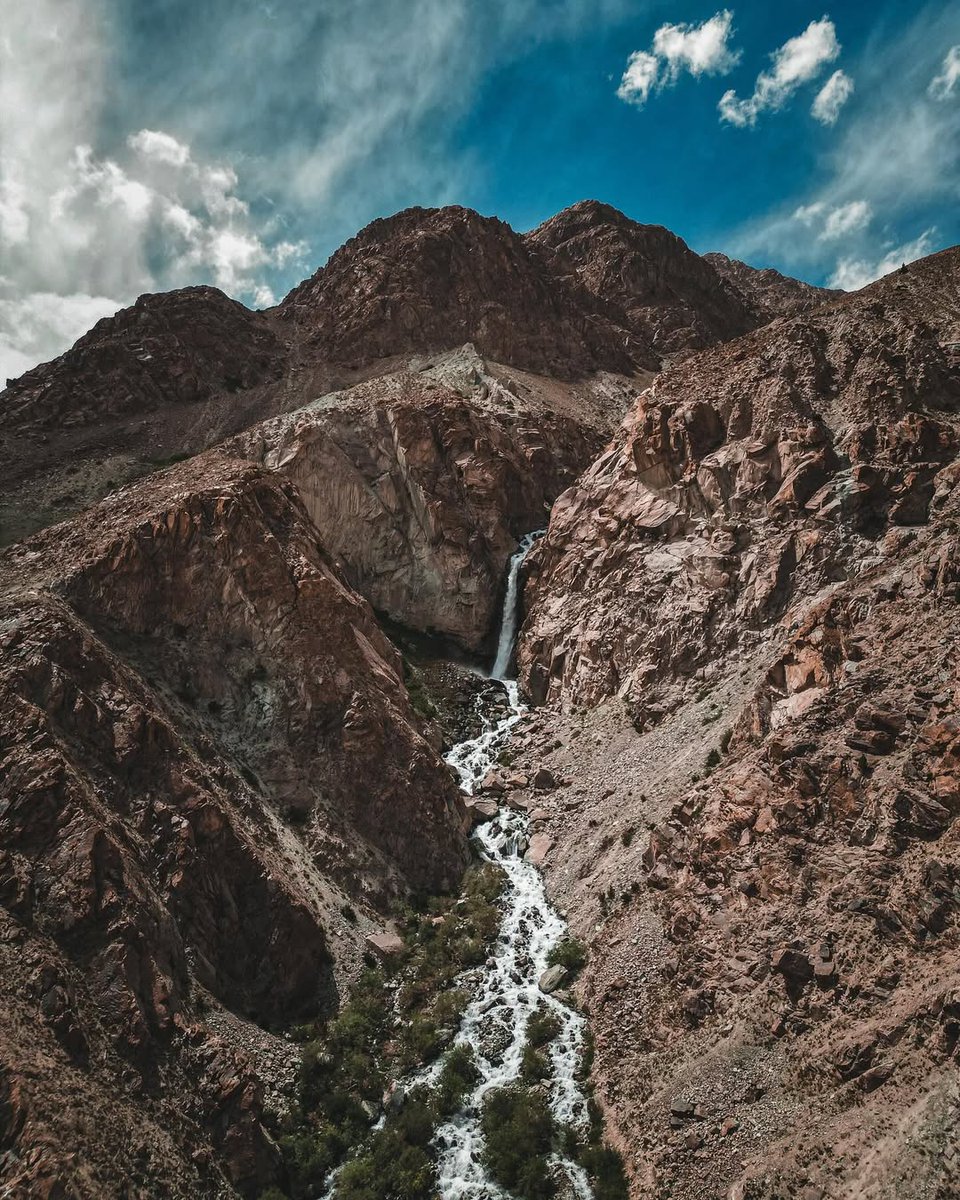 مجلة الصمود tweet media