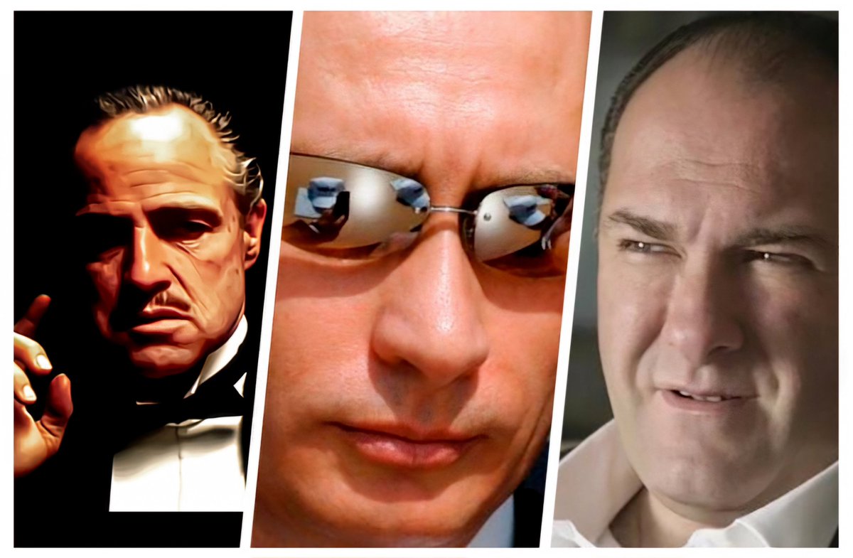 Samuel Novnik tweet media