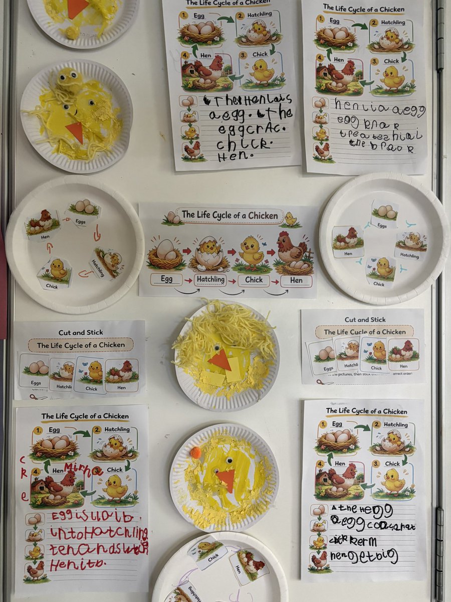 Mrs Griffiths SG EYFS tweet media