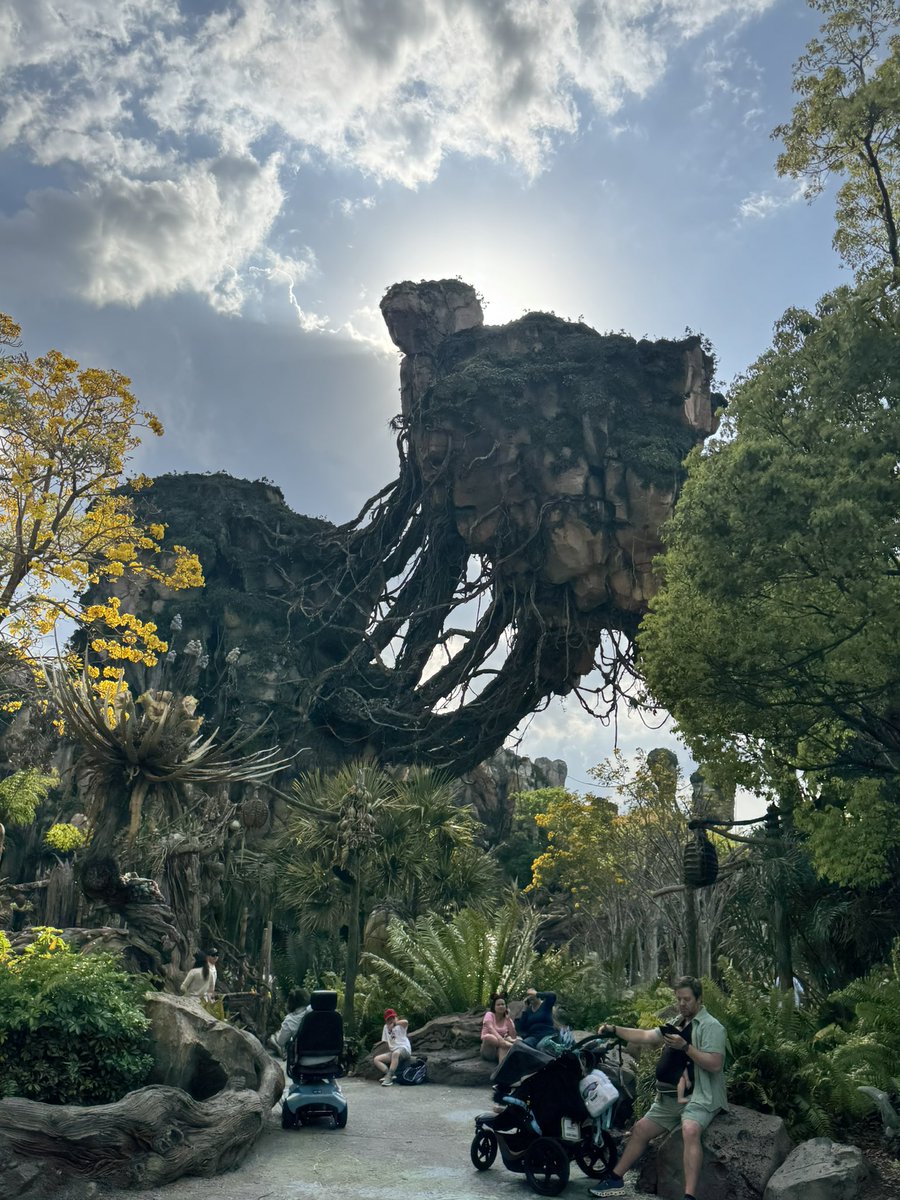 ShayanelHawk tweet media