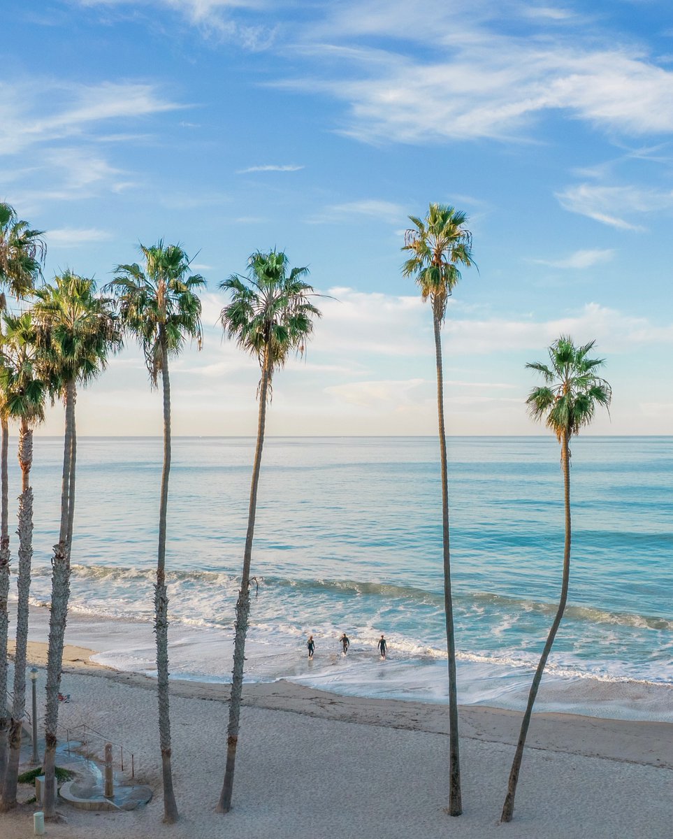 World Best tweet media