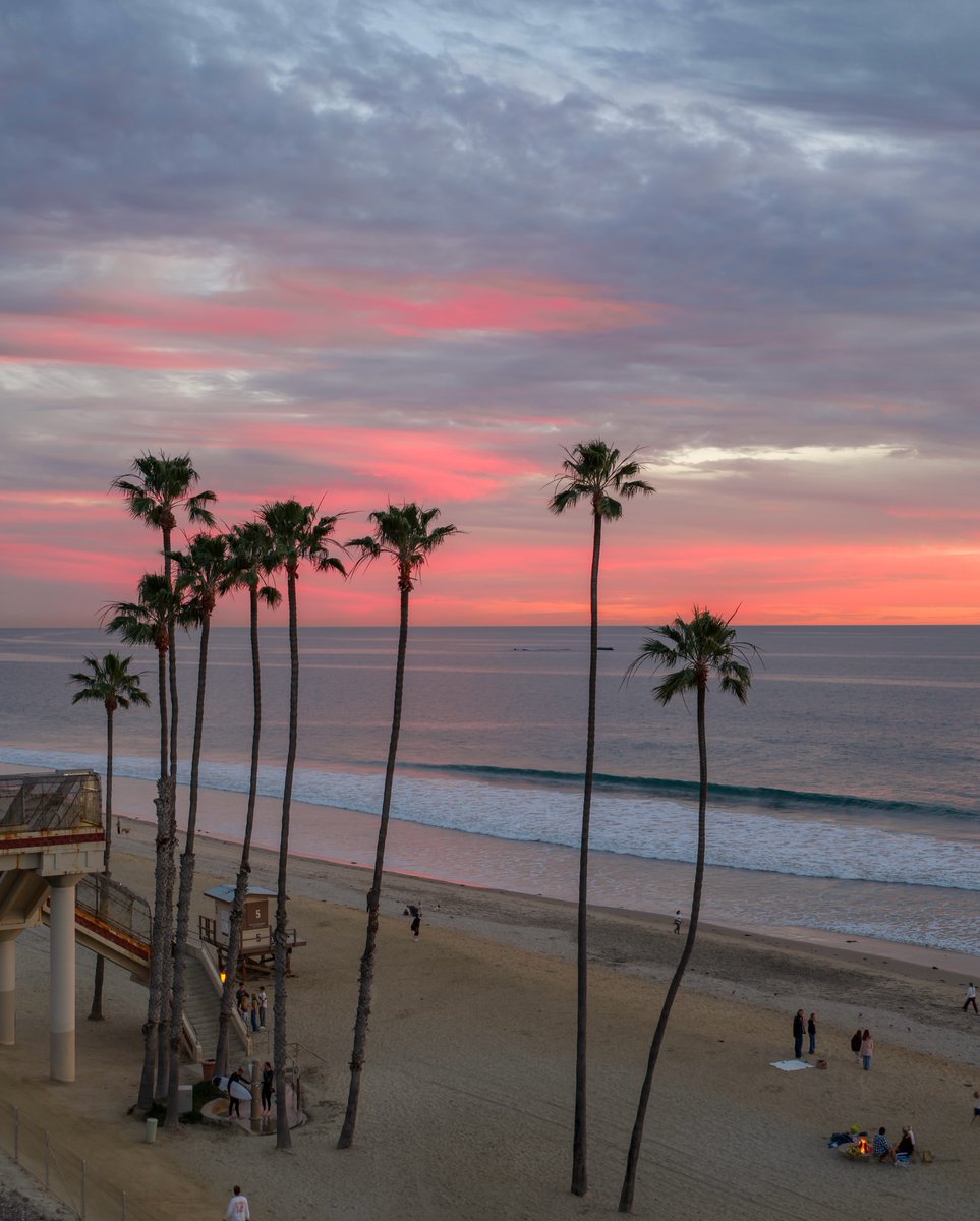 World Best tweet media