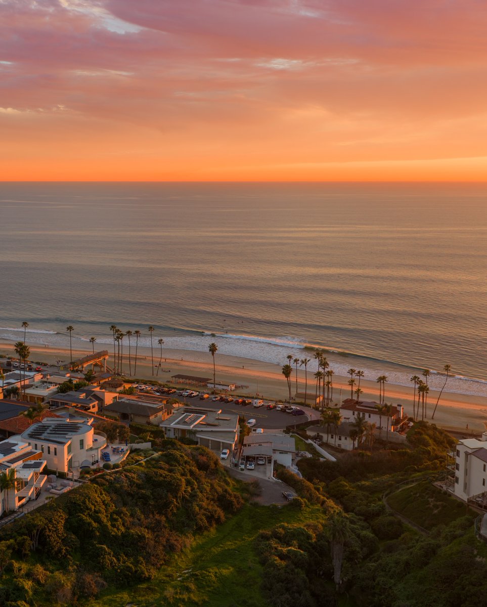 World Best tweet media