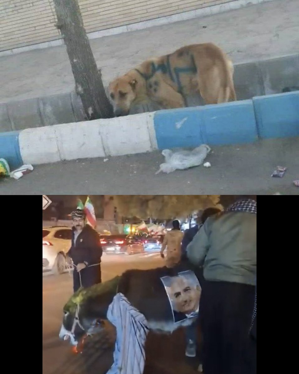 فلات ایران tweet media