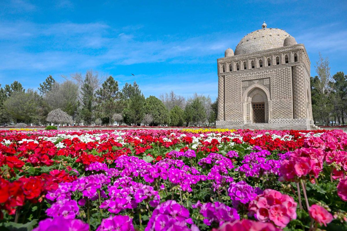 Akmal Khamraev tweet media