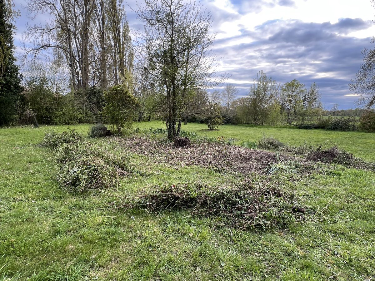 Frédéric Manfrin tweet media