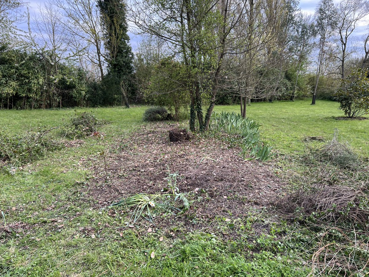 Frédéric Manfrin tweet media