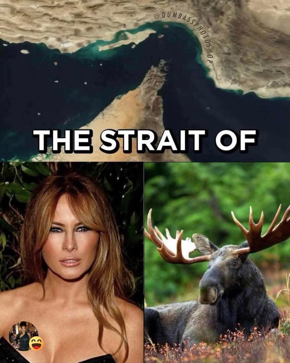 Jeremy Stamper 🇺🇸 tweet media