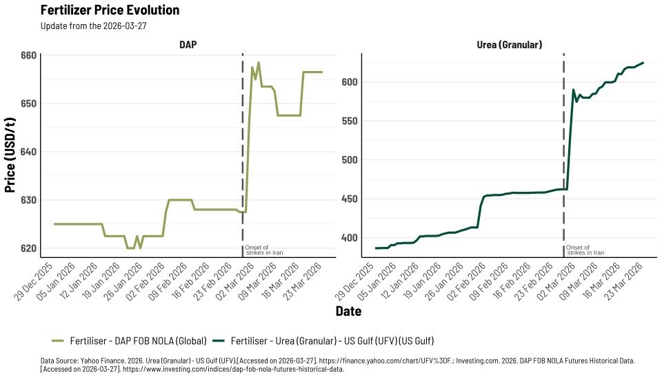 Maximo Torero tweet media