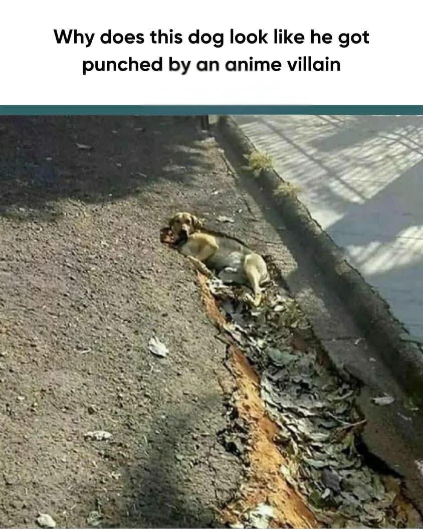 Almaz Juz tweet media