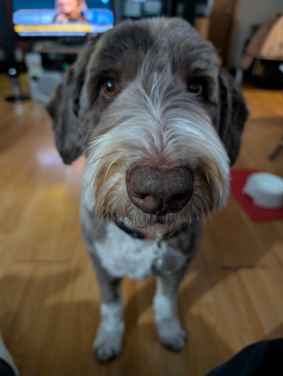 I got a spa day today &amp; I feels all spiffy.....
