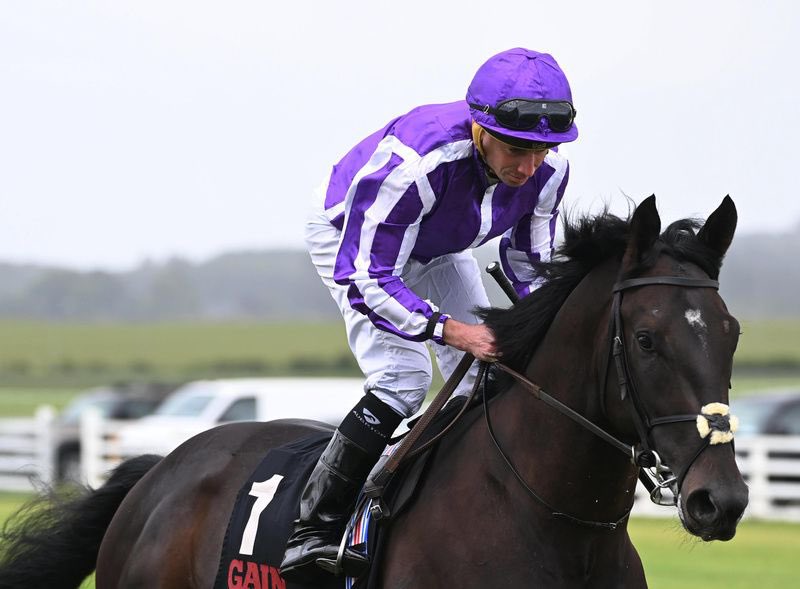 The Race Horse Guy tweet media