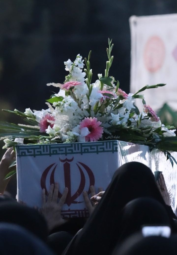 فاطمه امیری tweet media