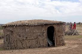 Avner Solal tweet media