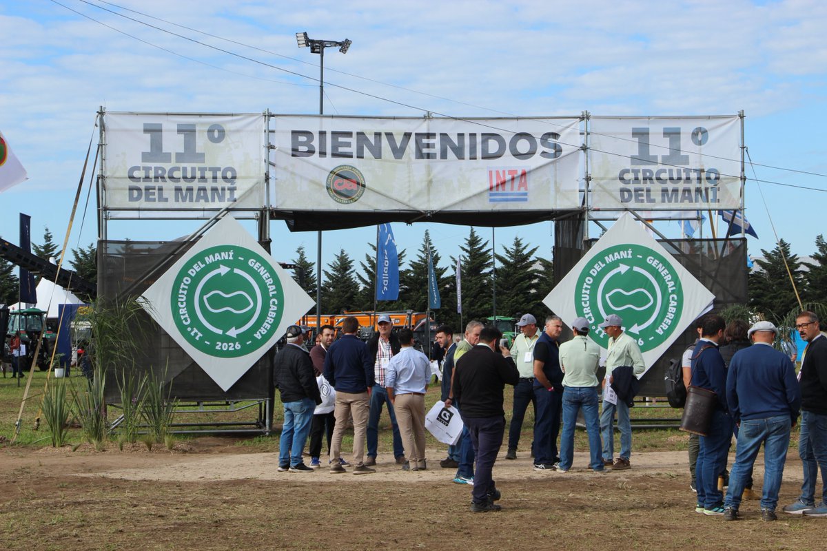 INTA Manfredi tweet media