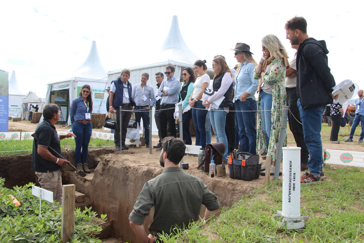 INTA Manfredi tweet media