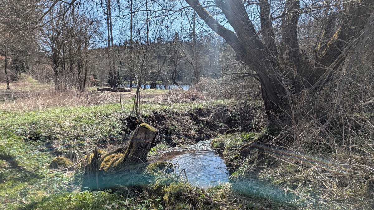 Petr 🌲🇨🇿 tweet media