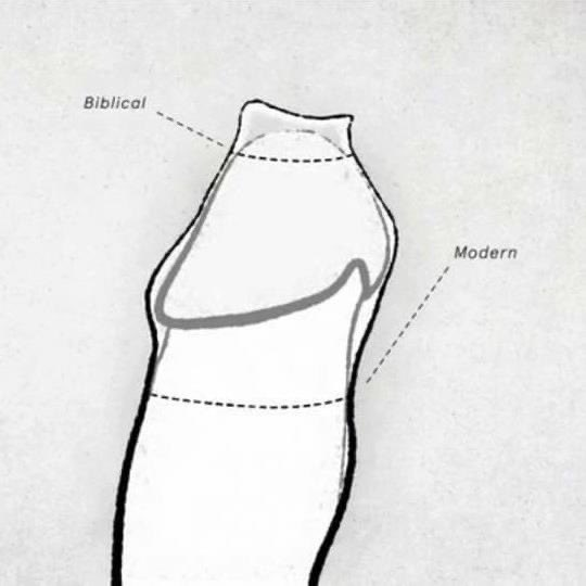 Καλός tweet media
