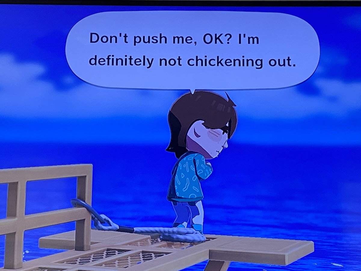 mav 🐾 tweet media