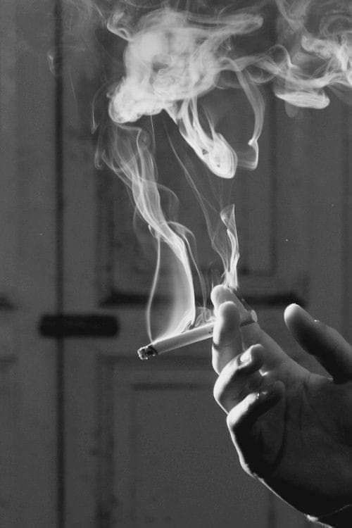 Sadaf Malik tweet media