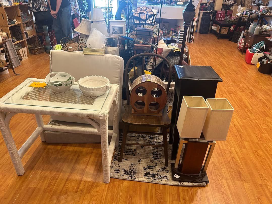 FeralCatProgramGA tweet media