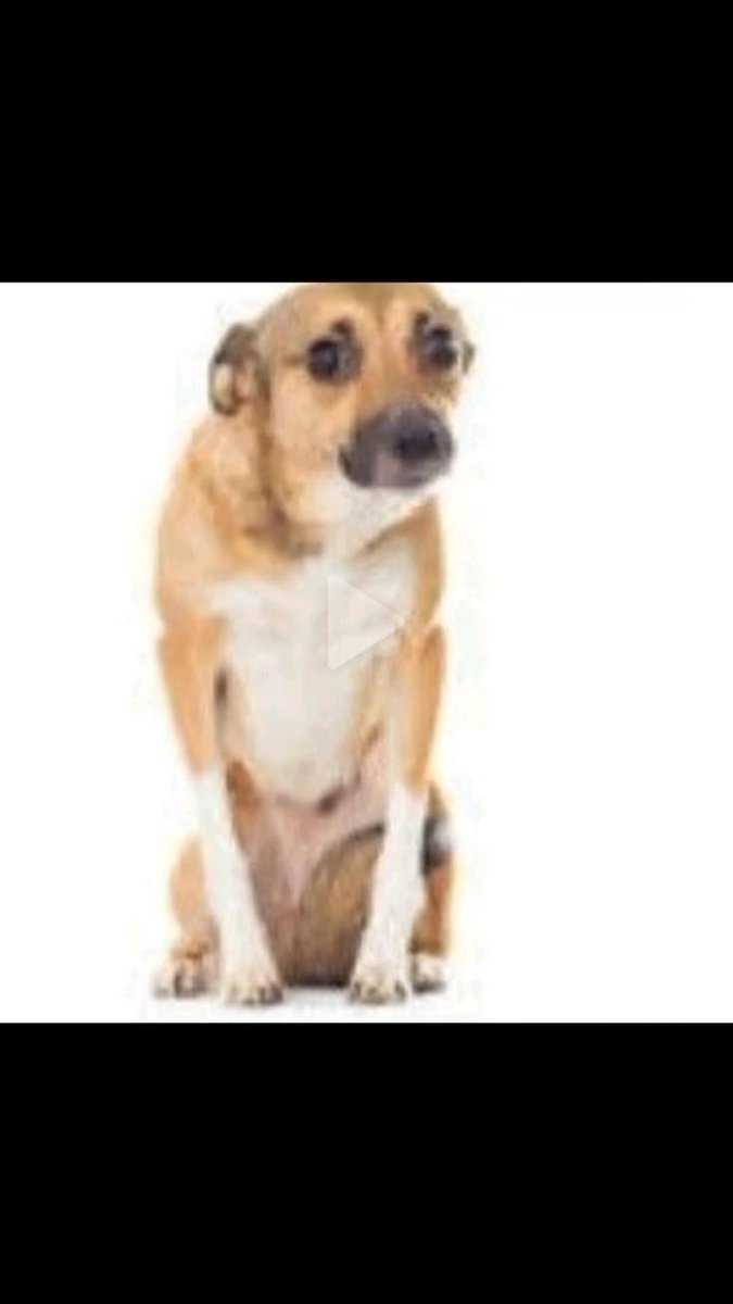 MayOddlyArt tweet media