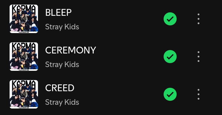 skz has a master's degree in this, they NEVER miss