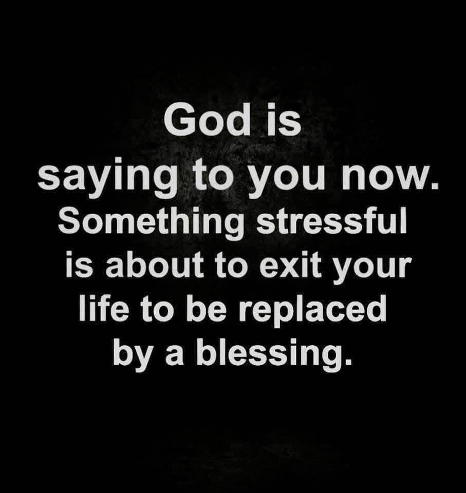 Mark Robinson tweet media