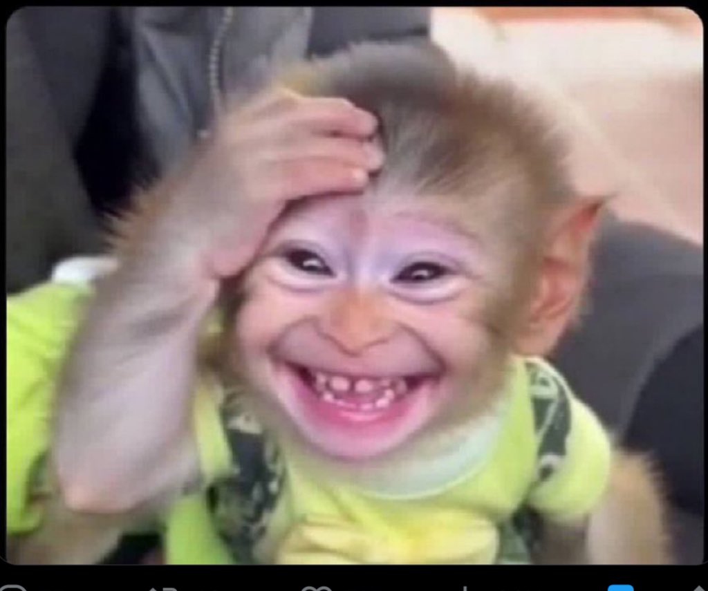 Craft_Boi tweet media