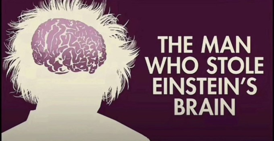 Lead Fiend tweet media