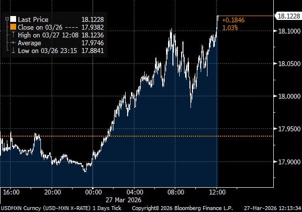 Gabriela Siller Pagaza tweet media