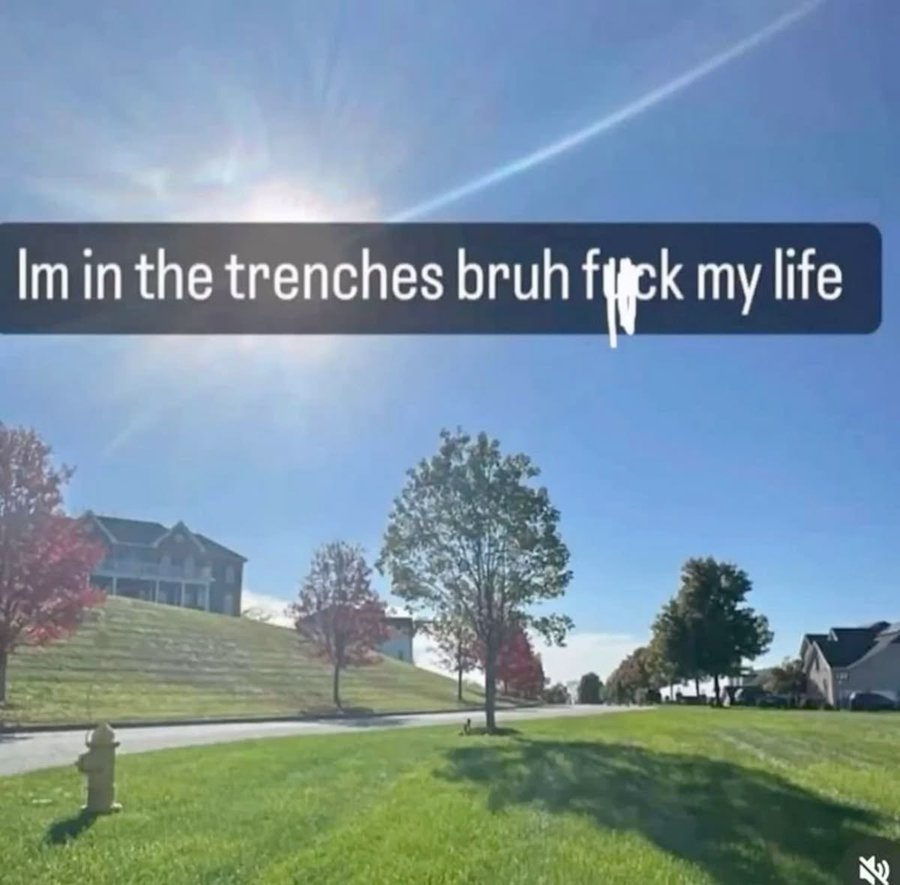 Nero🇧🇦 tweet media