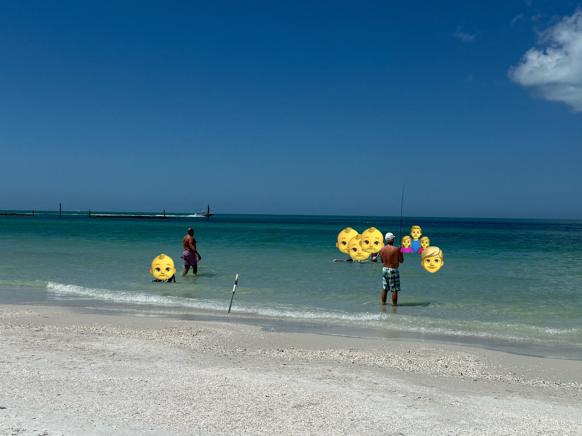 ɐ͎ʞ͎ć͎ı͎ɹ͎ɐ͎ɯ͎ tweet media