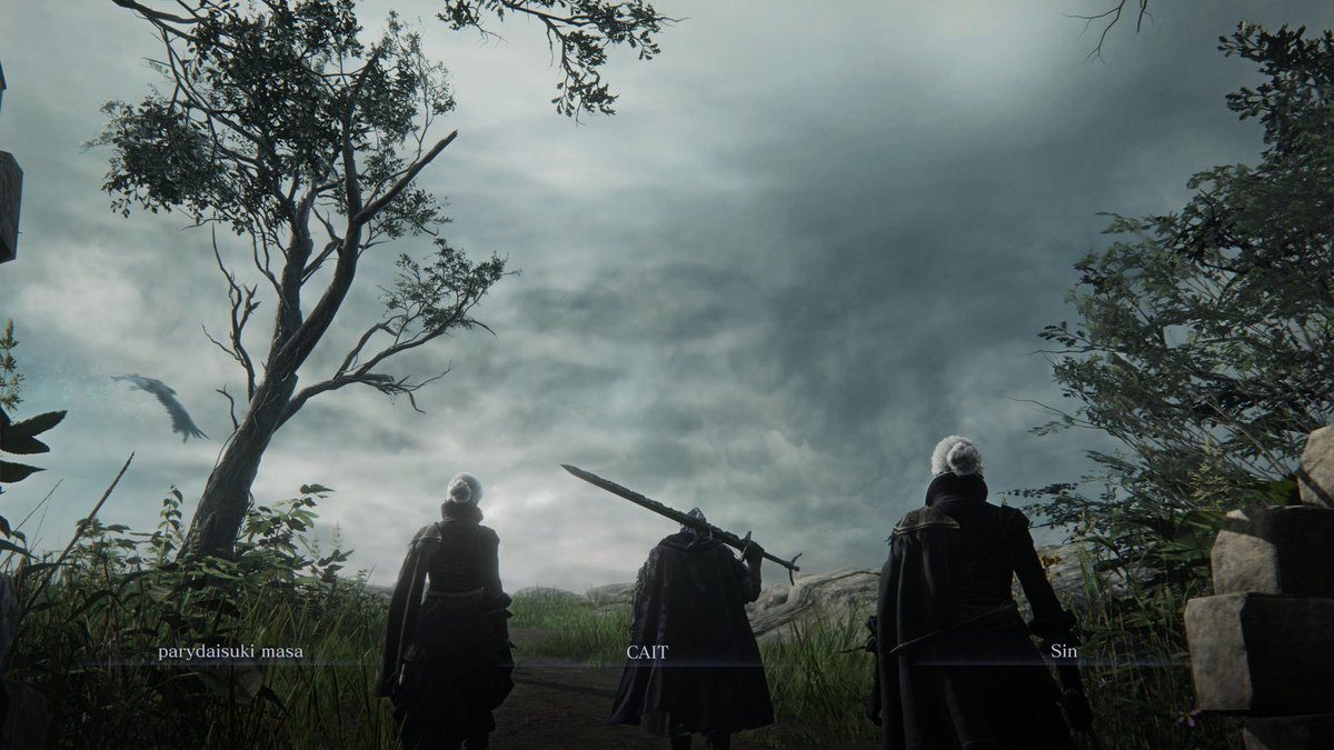 ケット🦈 tweet media