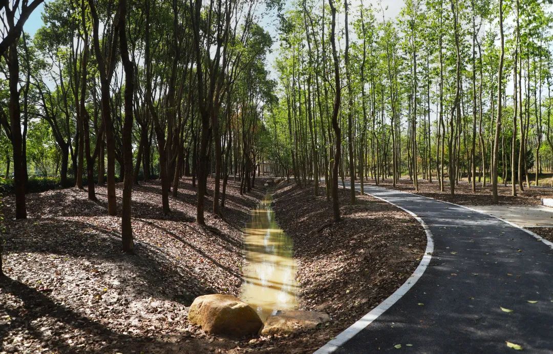 Mario Alonso Luzardo tweet media