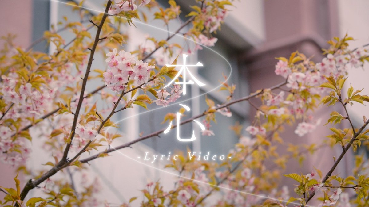 ᴀʟᴀɴ sʜɪʀᴀʜᴀᴍᴀ ɪɴꜰᴏʀᴍᴀᴛɪᴏɴ tweet media