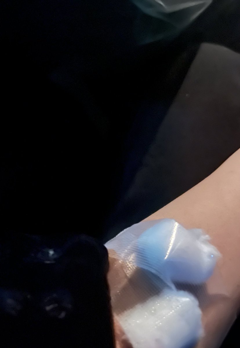 إيلا tweet media